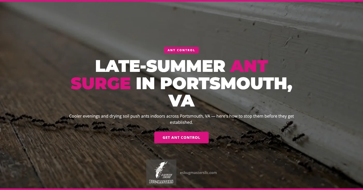 Late Summer Ant Prevention Tips for Portsmouth, VA Homeowners