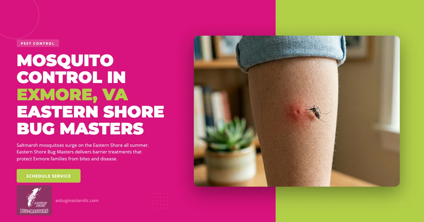 Mosquito Control in Exmore, VA