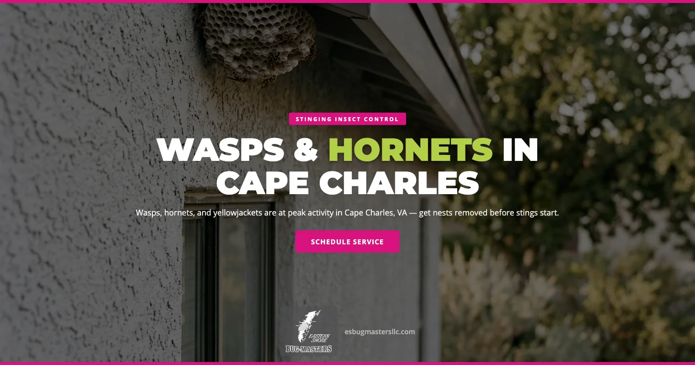 Stinging Insect Control in Cape Charles, VA