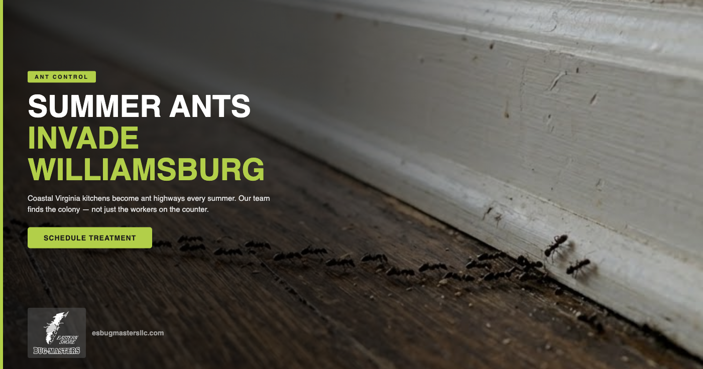 How to Stop Summer Ant Invasions in Your Williamsburg, VA Home
