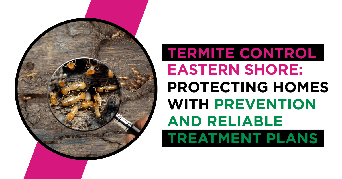 Termite Control Eastern Shore | ES Bug-Masters